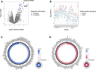 Assessing the influence of distinct culture media on human pre-implantation development using single-embryo transcriptomics